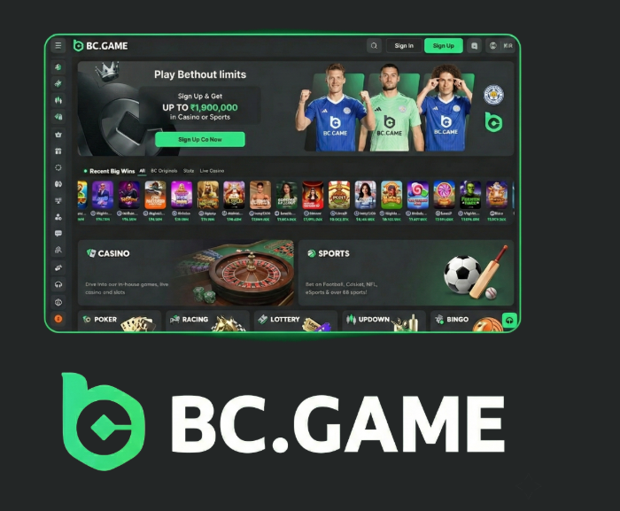 Discover the Thrills of BC.Game Casino Your Ultimate Gaming Destination